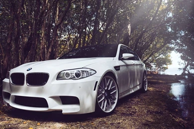 BMW Classic Series Desktop Wallpapers Modification 49809   Flowers ...