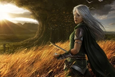 Gallery For   Warrior Woman Wallpapers