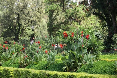 Gallery For   Flower Widescreen Wallpapers