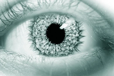 Desktop Wallpapers · Gallery · 3D Art · The Eye Of Future