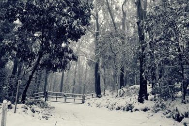 Winter Wonderland Desktop Wallpaper, Winter Wonderland Images, New ...