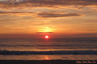 Free Wallpapers From The Hedge Witch