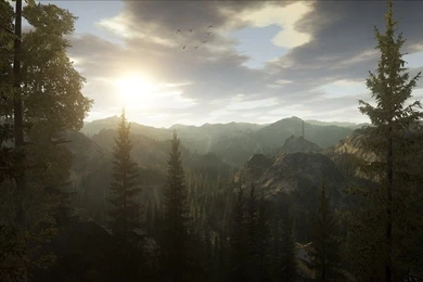 Download Alan Wake Wallpapers 1920x1080