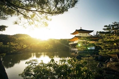 Kyoto Sunlight Building Asian Pond Trees Free Desktop Backgrounds ...