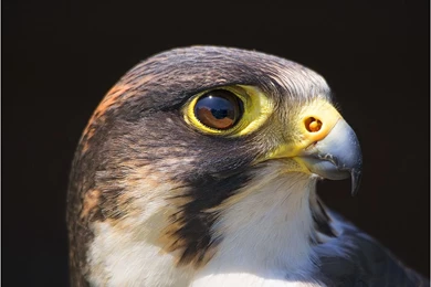 England Hampshire July 15th 2013 «