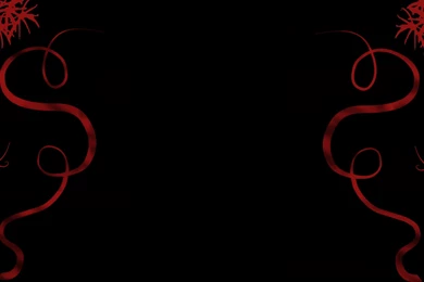 Best Backgrounds Wallpapers