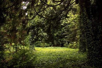 Backgrounds Nature Images HD Wallpapers Pretty