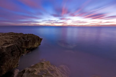 Nature hd background 3.jpg