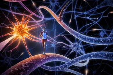 Top 3D Wallpapers   Desktop Backgrounds