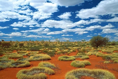 1600x1200 Wallpapers Australia Wallpapers Desktop Wallpapers