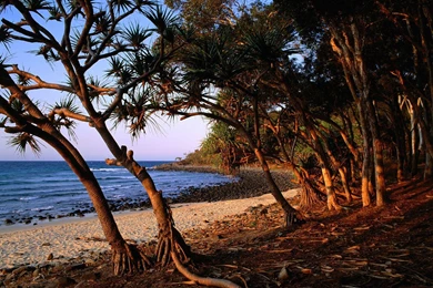 TEA TREE BEACH NOOSA NATIONAL PARK QUEENSLAND AUSTRALIA WALLPAPER ...