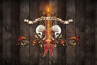 Skull Wallpapers Mirrored By Matejmajda On DeviantArt