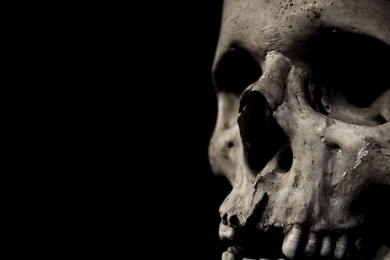 Dark Skull Evil Horror Skulls Art Artwork Skeleton D Wallpapers ...