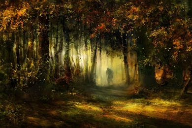 Forest Computer Wallpapers, Desktop Backgrounds