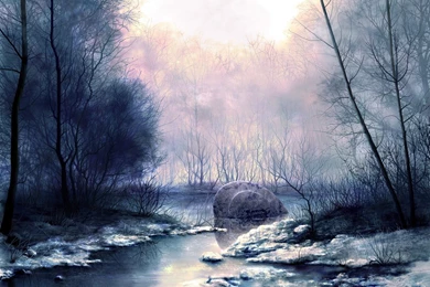 Wintry Forest Desktop Wallpapers