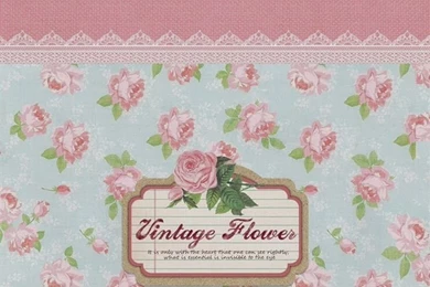 Vintage Flowers Pattern Sign iPhone 6 Wallpapers Download