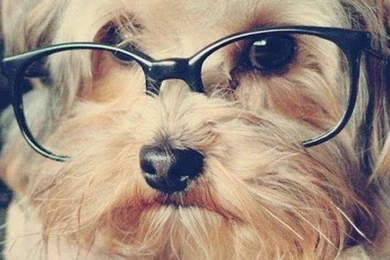 640x1136 Mobile Phone Wallpapers Download   47   640x1136 ...