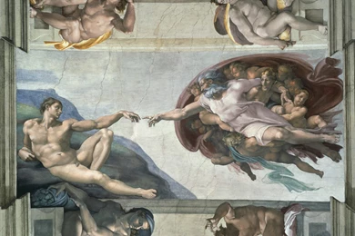 Michelangelo Desktop Wallpapers And Photos, New Wallpapers