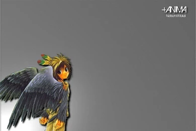 Anima Cooro Wallpapers By Slipknotrush On DeviantArt