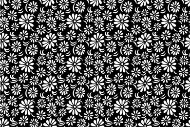 Black White Floral Backgrounds   Black, Flowers, White   PPT ...