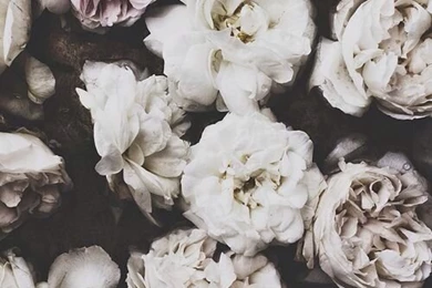 Black + White On Pinterest