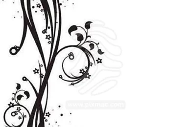 Backgrounds White And Black   ImgMob