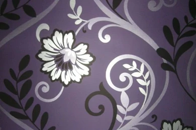 I Like This Purple Wallpapers And With A Black Bed....mmmm