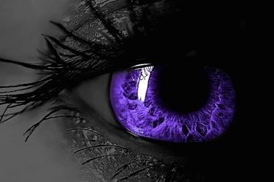 Black And Purple Wallpapers 2369   HD Wallpapers Site