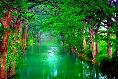 Wallpaper: One Touch Of Nature Makes The Whole World Kin