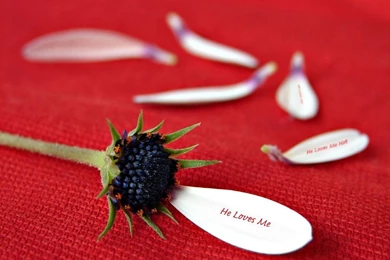 Love Me Wallpapers   HD Wallpapers And Pictures