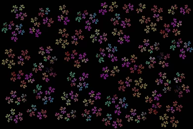 Black And Brown Textures