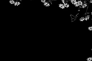 Flower Backgrounds Wallpapers For PowerPoint