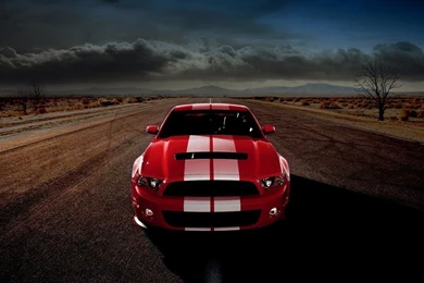 Mustang Gt500 HD Wallpapers Free Download