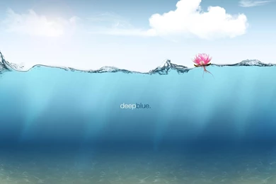 Red Apple With Water Cool (id: 188976) – BUZZERG