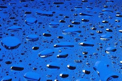 Christmas Blue Tree Wallpapers 1024x819 Iwallhd Wallpapers Hd