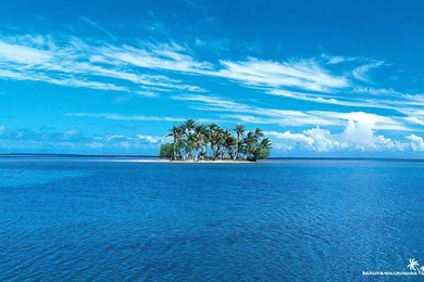 Ocean Wallpapers Free