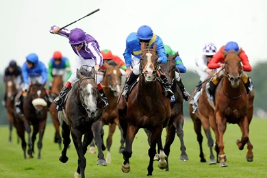 Horse Racing Desktop Wallpaper, Horse Racing Images, New Wallpapers
