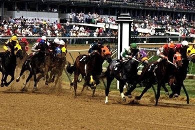Horse Racing Field 1280x800 Wallpapers, 1280x800 Wallpapers ...