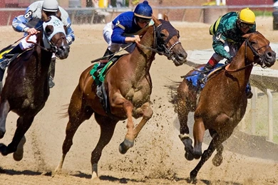 Horse Racing Dust Blowing Wallpapers,Horse Racing Wallpapers ...