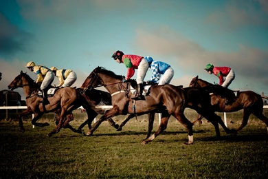 Horse Racing , United Kingdom , England