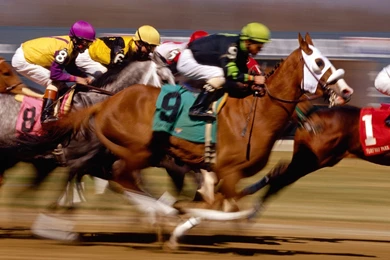 Gallery For   Horse Racing Hot Wallpapers