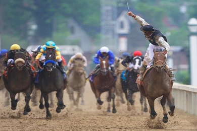 Free Horse Racing Kentucky Derby Computer Desktop Wallpapers