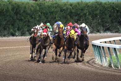 HORSE RACING Race Equestrian Sport Jockey Horses Wallpapers ...