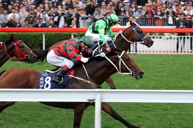 Dead Horse Guns N Roses Wallpapers   Free Dead Horse Guns N Roses ...