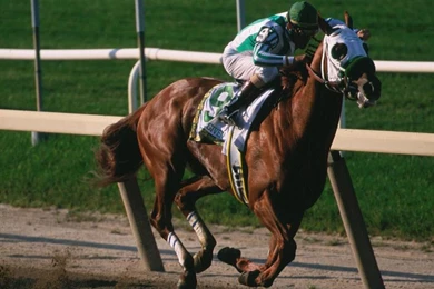 Horse Racing Number 9 1920x1200 Wallpapers, 1920x1200 Wallpapers ...