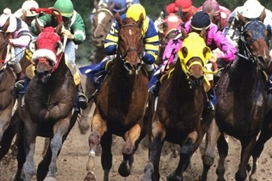 iPhone 6   Sports/Horse Racing   Wallpapers ID: 214577