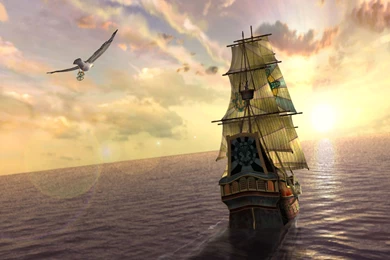 Ship Wallpapers Bird Flying Widescreen.jpg