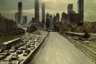 The Walking Dead/fear The Walking Dead On Pinterest