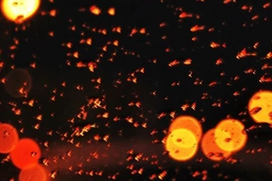 City 24 iPhone 4s Wallpapers Download