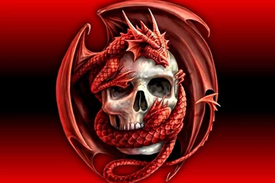 3D Skull Images   Desktop Backgrounds